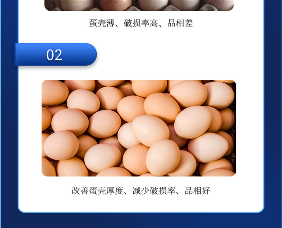 吉隆达动保禽饲料添加剂强壳宝产品介绍